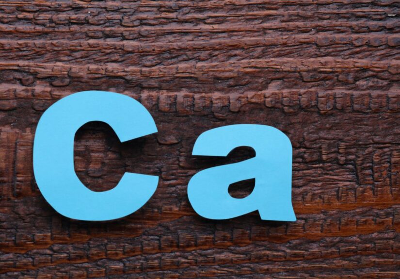 5 letter word starting with ca